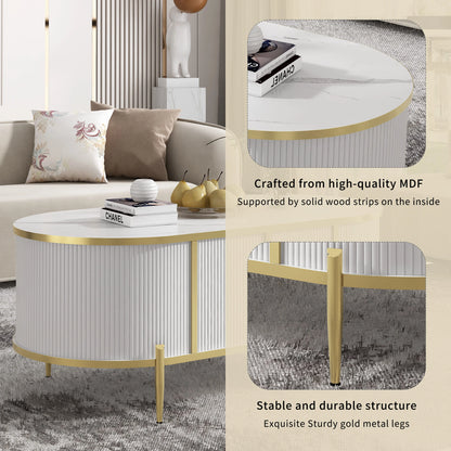 Modern Oval Coffee Table